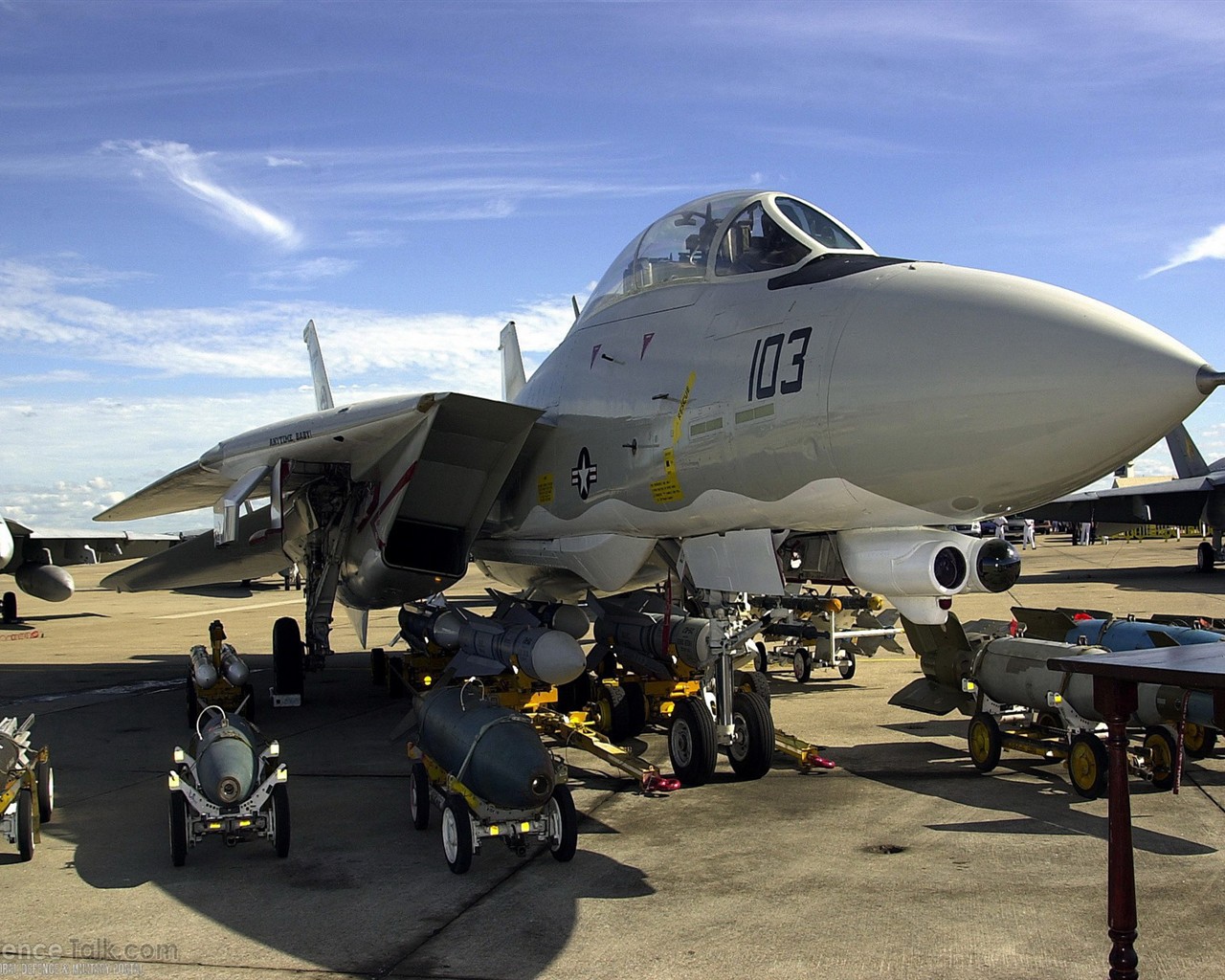 U.S. Navy F14 Tomcat fighter #45 - 1280x1024