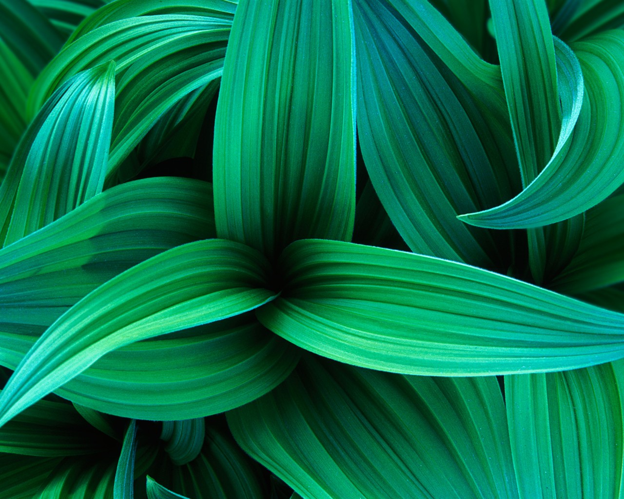 Windows7 systém je dodáván s wallpaper #24 - 1280x1024