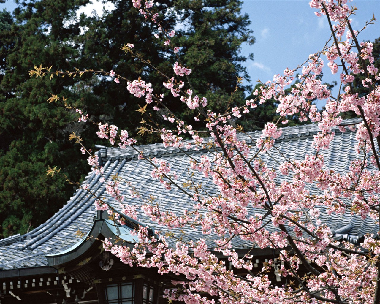 Kyoto, Japonsko, Krajina Tapety #14 - 1280x1024
