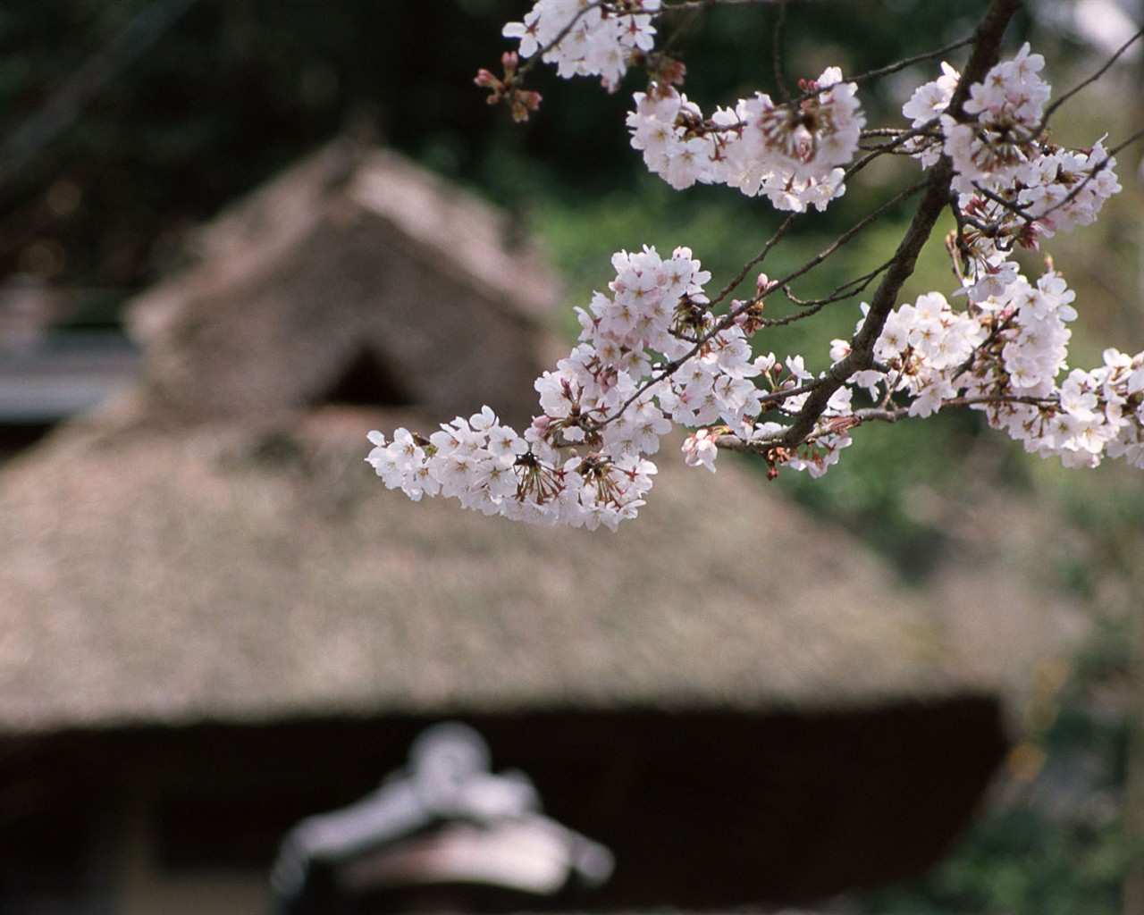 Kyoto, Japan, Landschaft Wallpapers #15 - 1280x1024