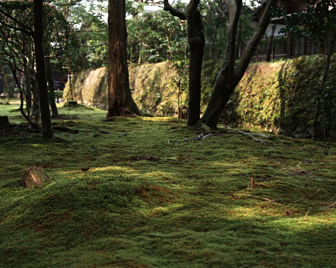 Kyoto, Japonsko, Krajina Tapety #23 - 1280x1024