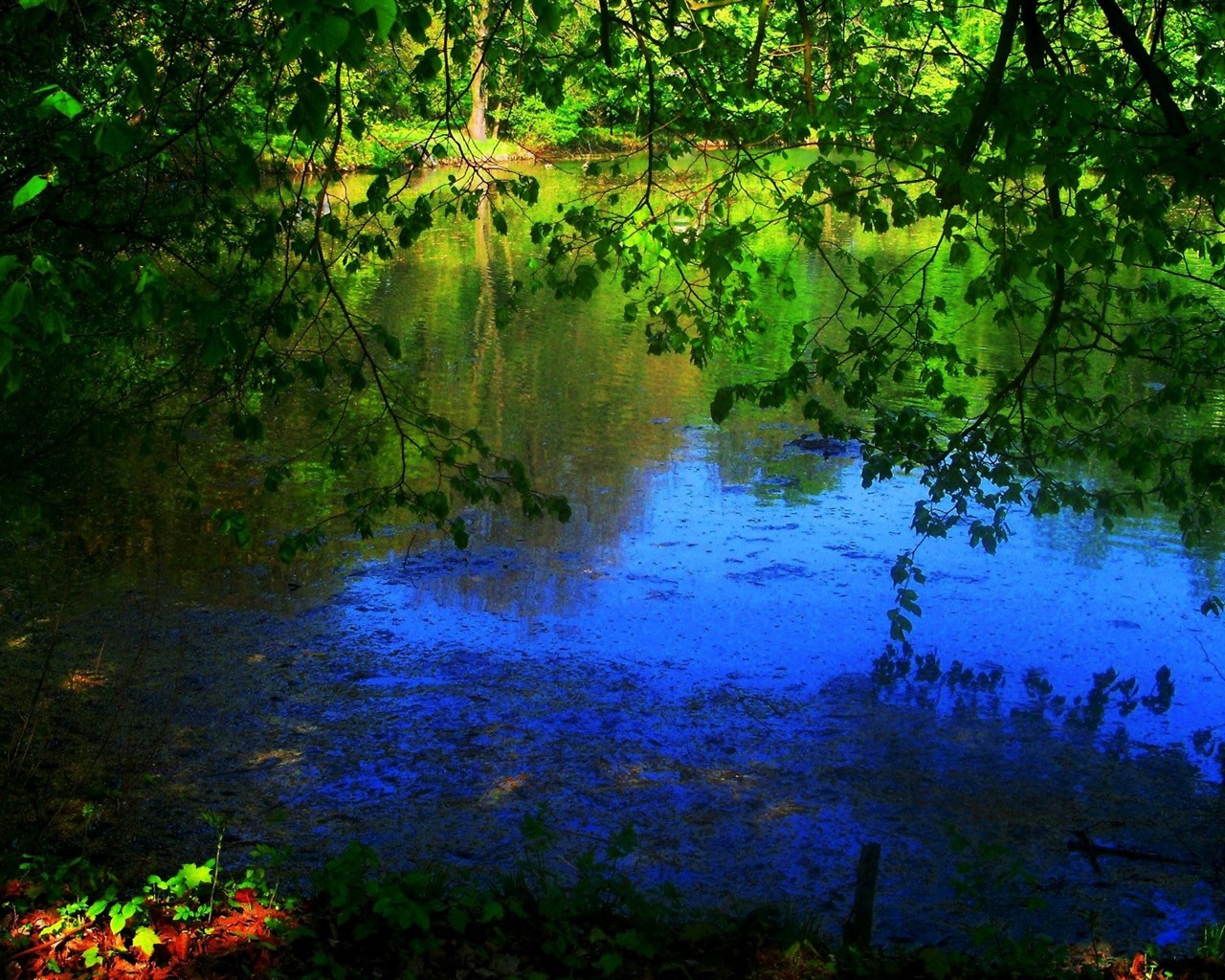 Rendering scenery HD Wallpapers #14 - 1280x1024