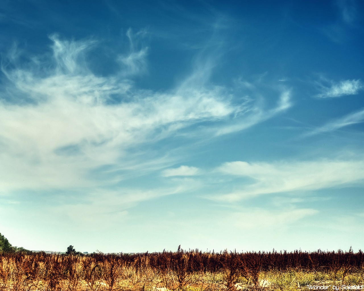 Rendering scenery HD Wallpapers #27 - 1280x1024