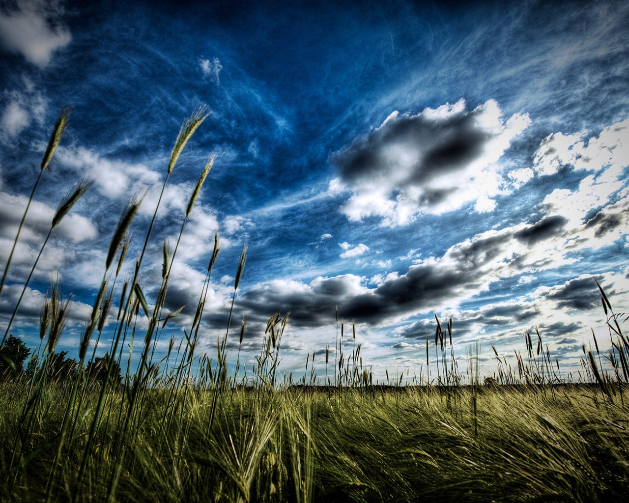 Rendering scenery HD Wallpapers #40 - 1280x1024