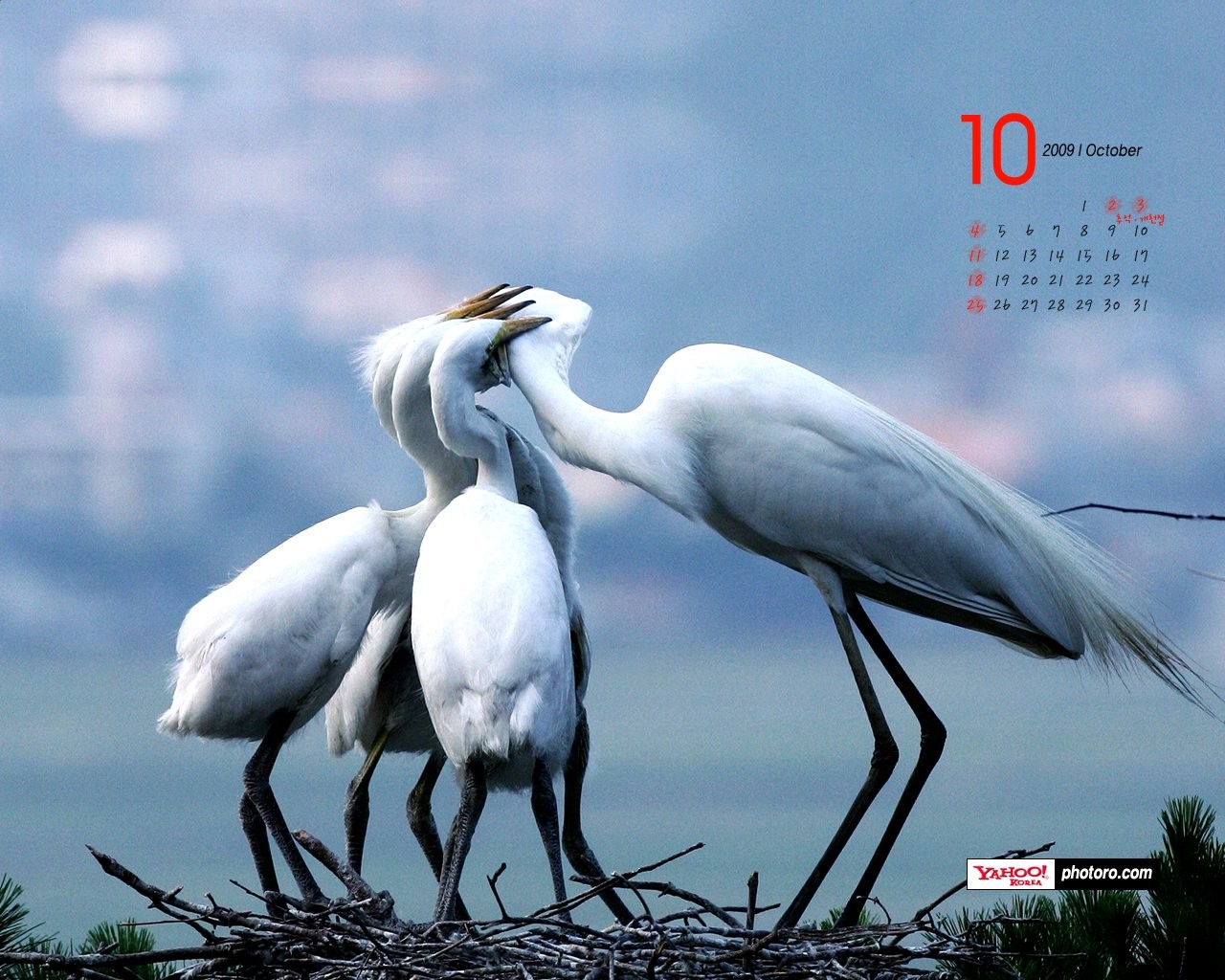 YAHOO Jižní Korea v říjnu Scénické Kalendář #7 - 1280x1024