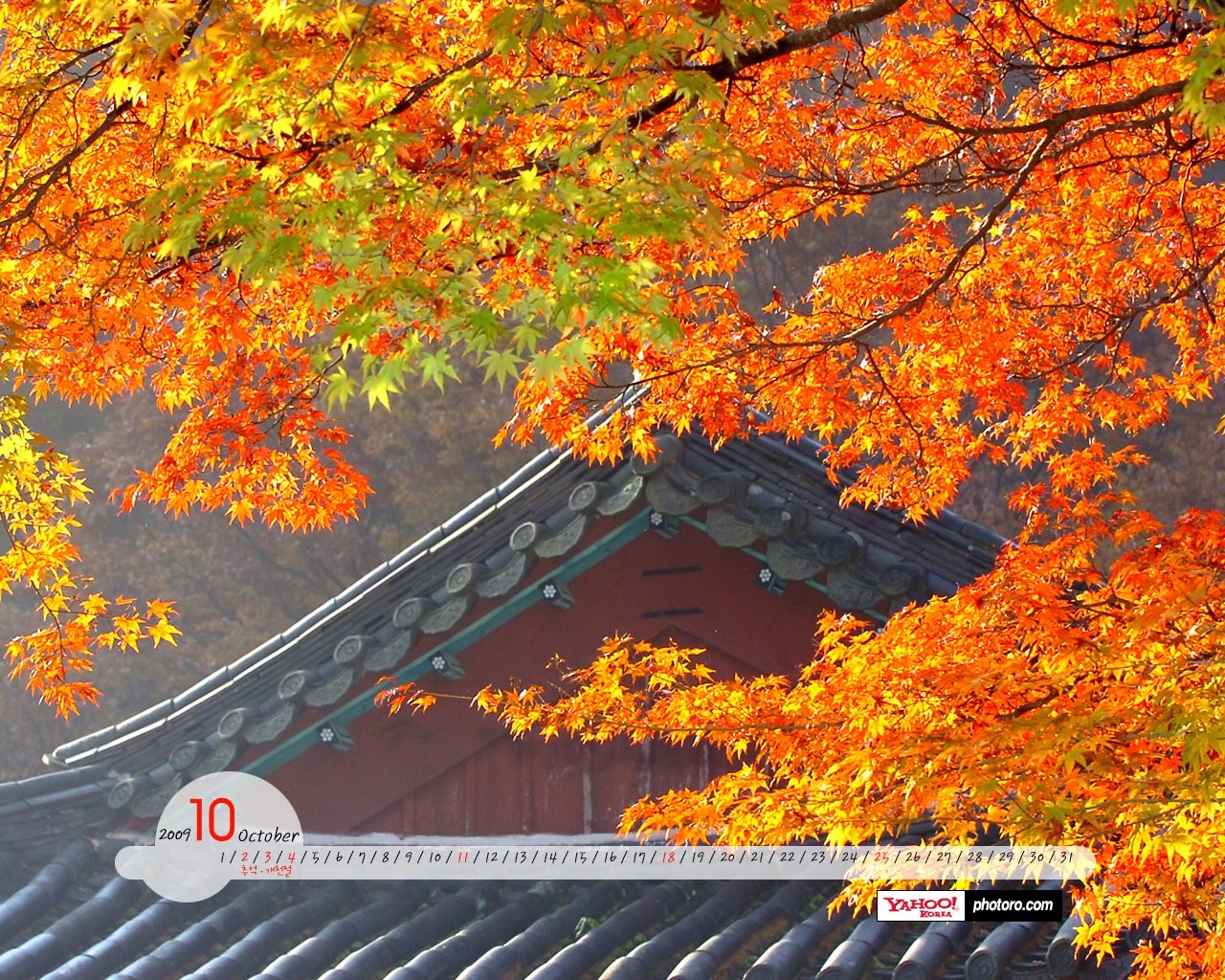 YAHOO Jižní Korea v říjnu Scénické Kalendář #16 - 1280x1024