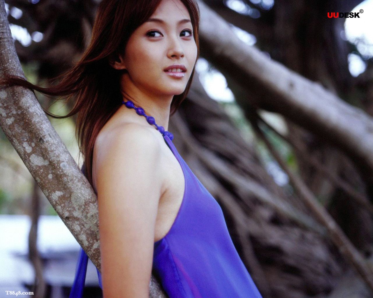 Beauté Miki Fujimoto fond d'écran #11 - 1280x1024