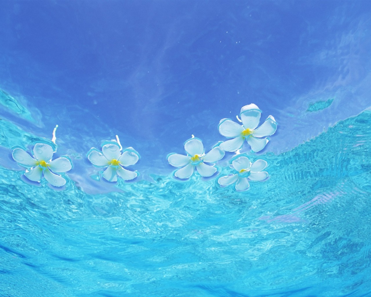 Maldivas agua y el cielo azul #11 - 1280x1024
