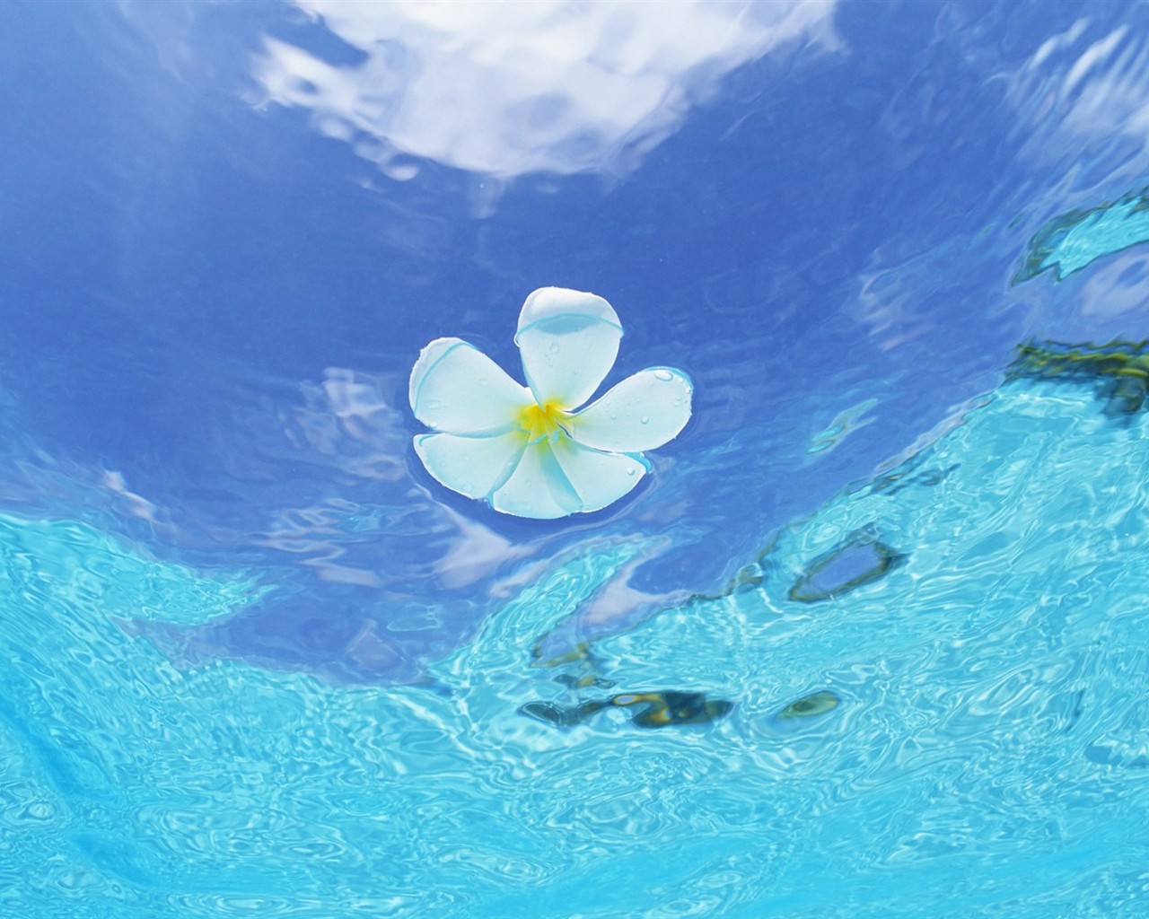 Malediven Wasser und blauer Himmel #12 - 1280x1024