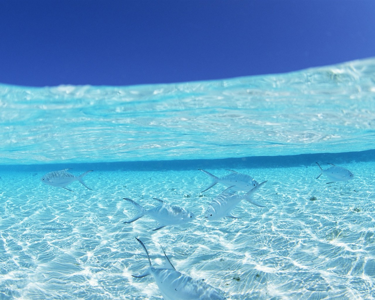 몰디브 물과 푸른 하늘 #23 - 1280x1024