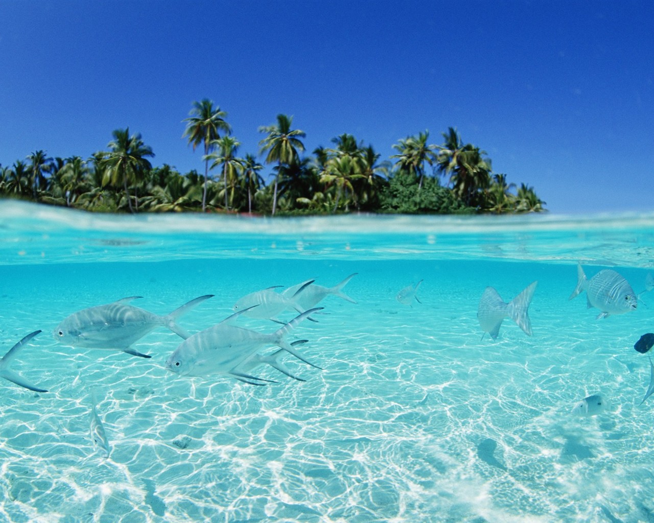 Malediven Wasser und blauer Himmel #24 - 1280x1024