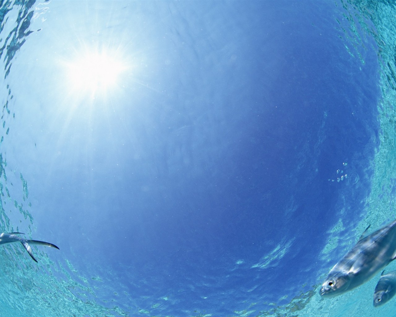 몰디브 물과 푸른 하늘 #28 - 1280x1024