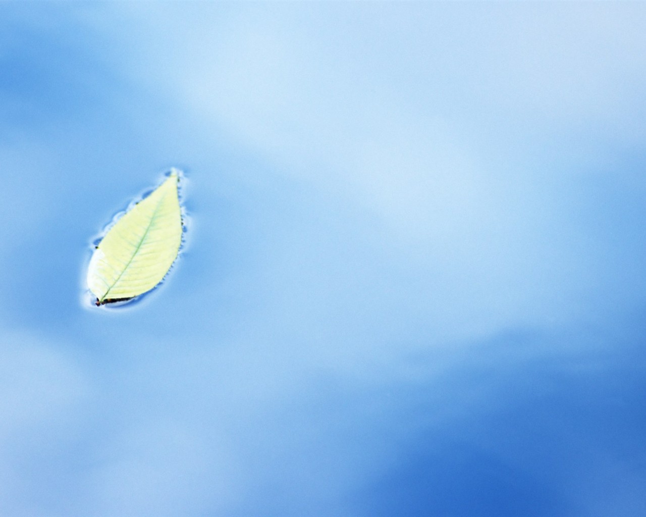 Fresh green leaf wallpaper (1) #19 - 1280x1024