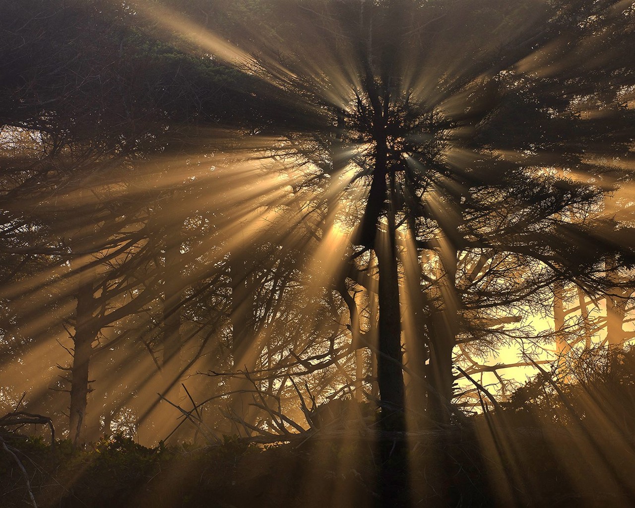 自然風光精選(七) #16 - 1280x1024