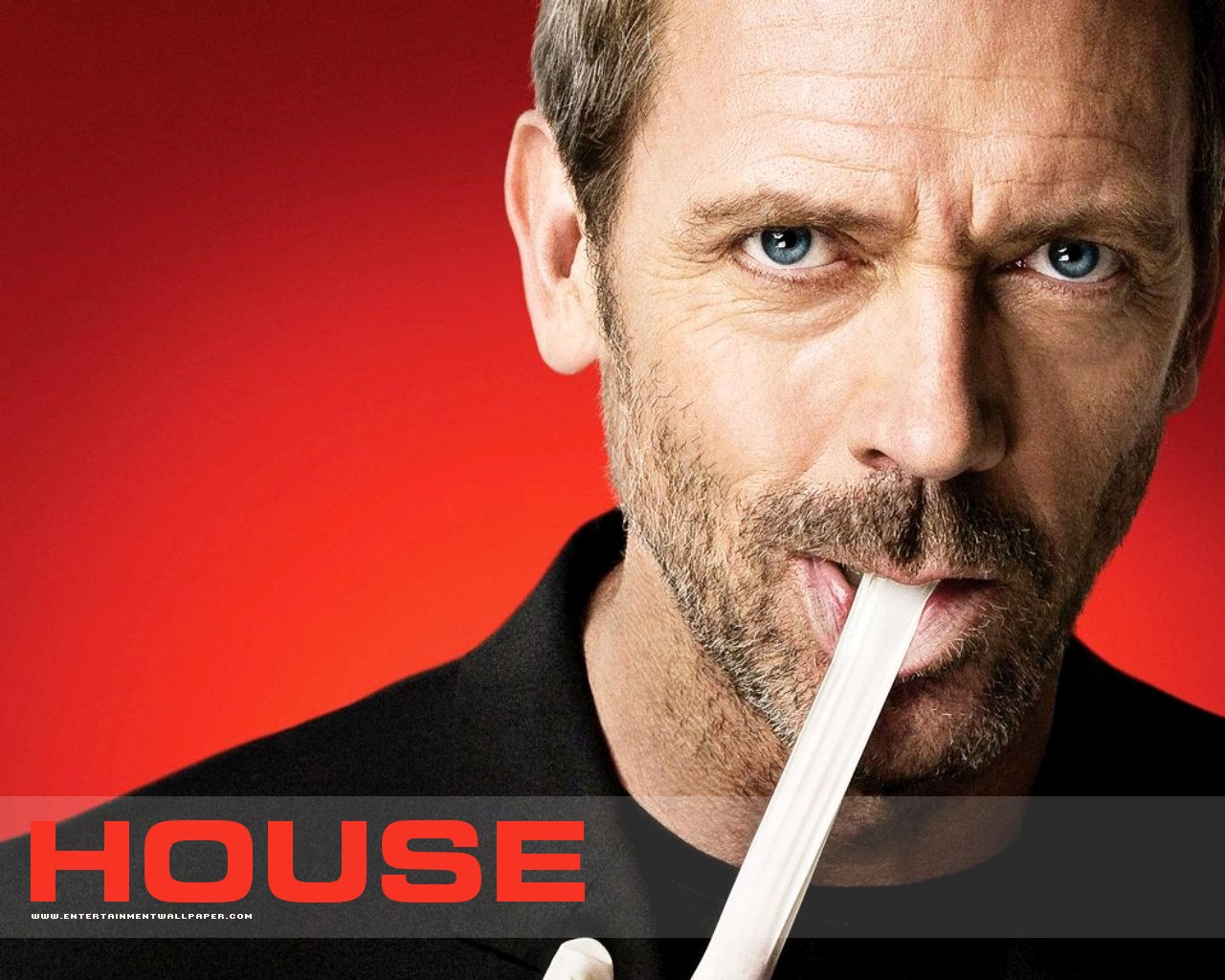 House M.D.豪斯醫生壁紙專輯 #15 - 1280x1024