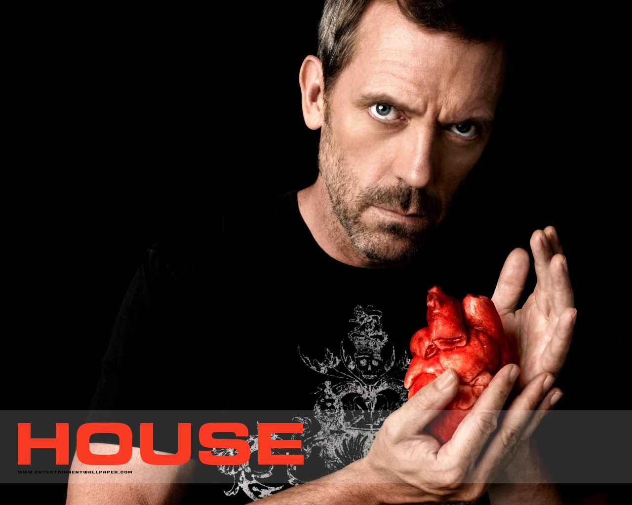 House M.D. wallpaper #16 - 1280x1024