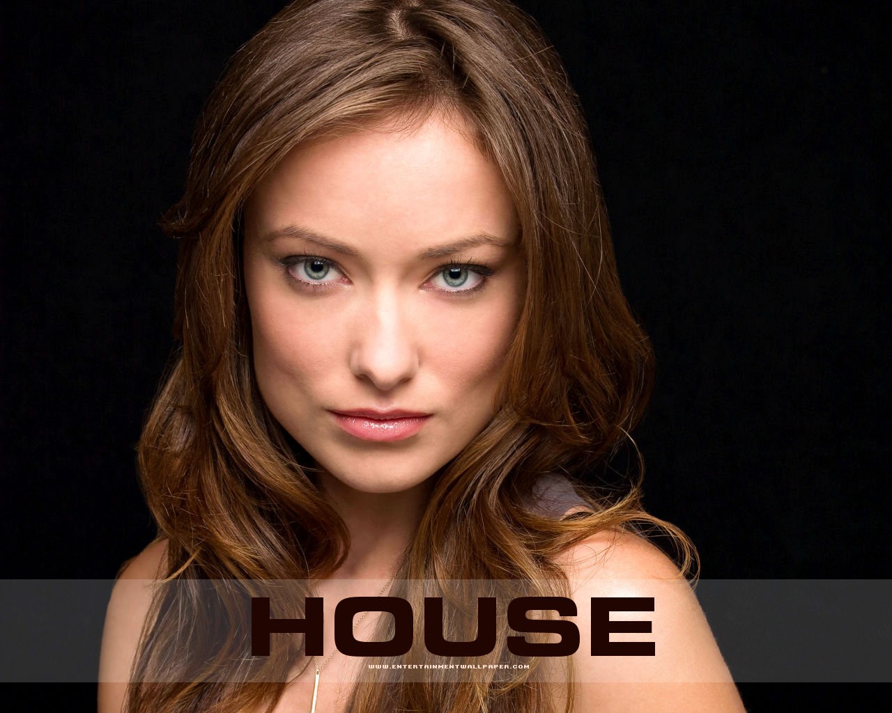 House M.D.豪斯醫生壁紙專輯 #20 - 1280x1024