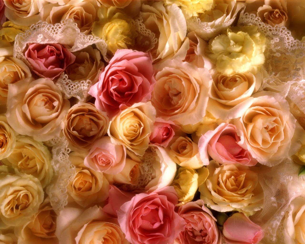 Beautiful Flowers wallpaper (3) #35 - 1280x1024