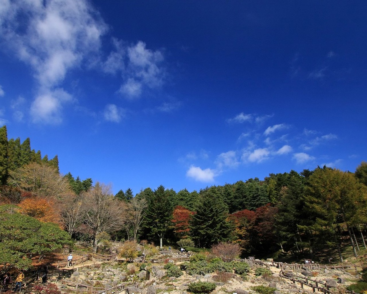 Japan Tour: Montañas Rokko hojas #9 - 1280x1024