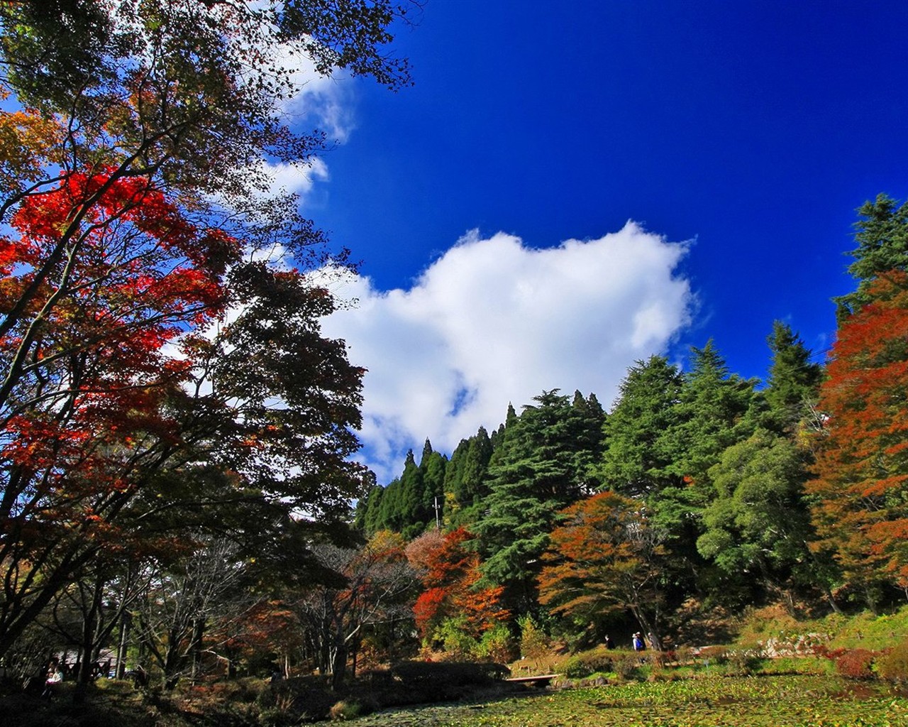 Japan Tour: Rokko Hory listy #10 - 1280x1024