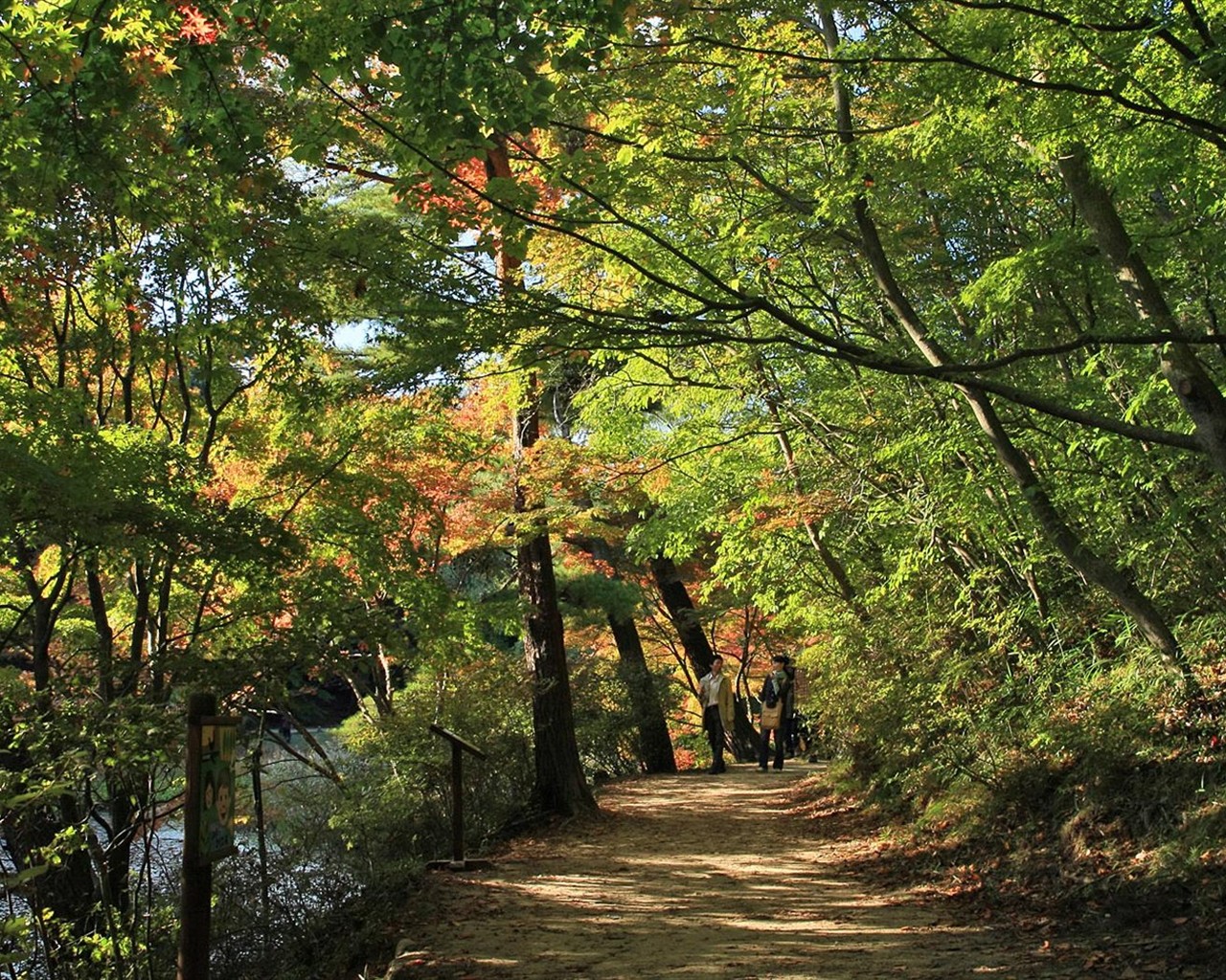 Japan Tour: Rokko Hory listy #19 - 1280x1024