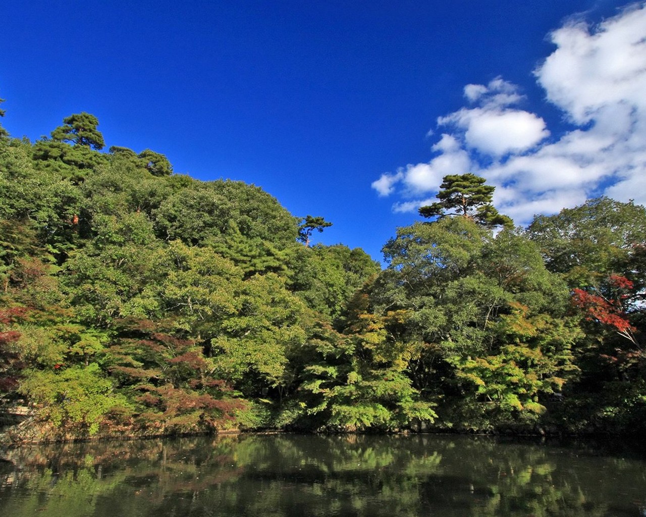 Japan Tour: Montañas Rokko hojas #20 - 1280x1024