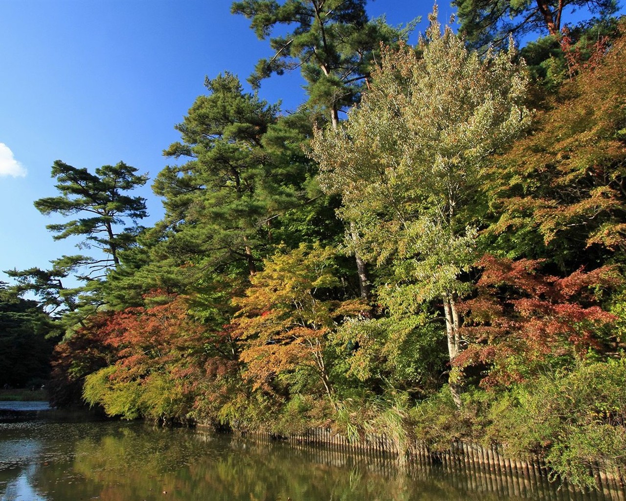 Japan Tour: Rokko Hory listy #26 - 1280x1024