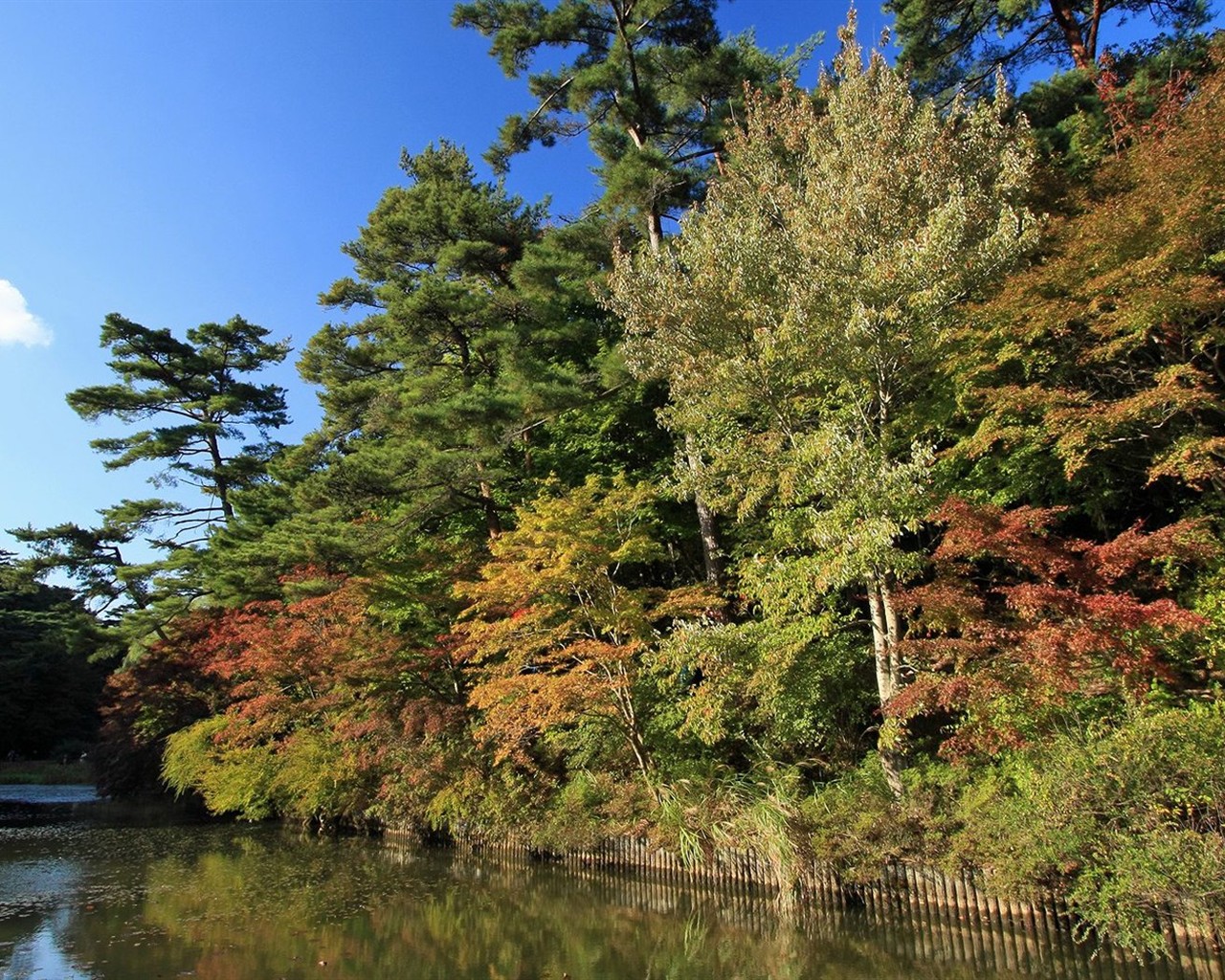 Japan Tour: Rokko Mountain feuilles #26 - 1280x1024