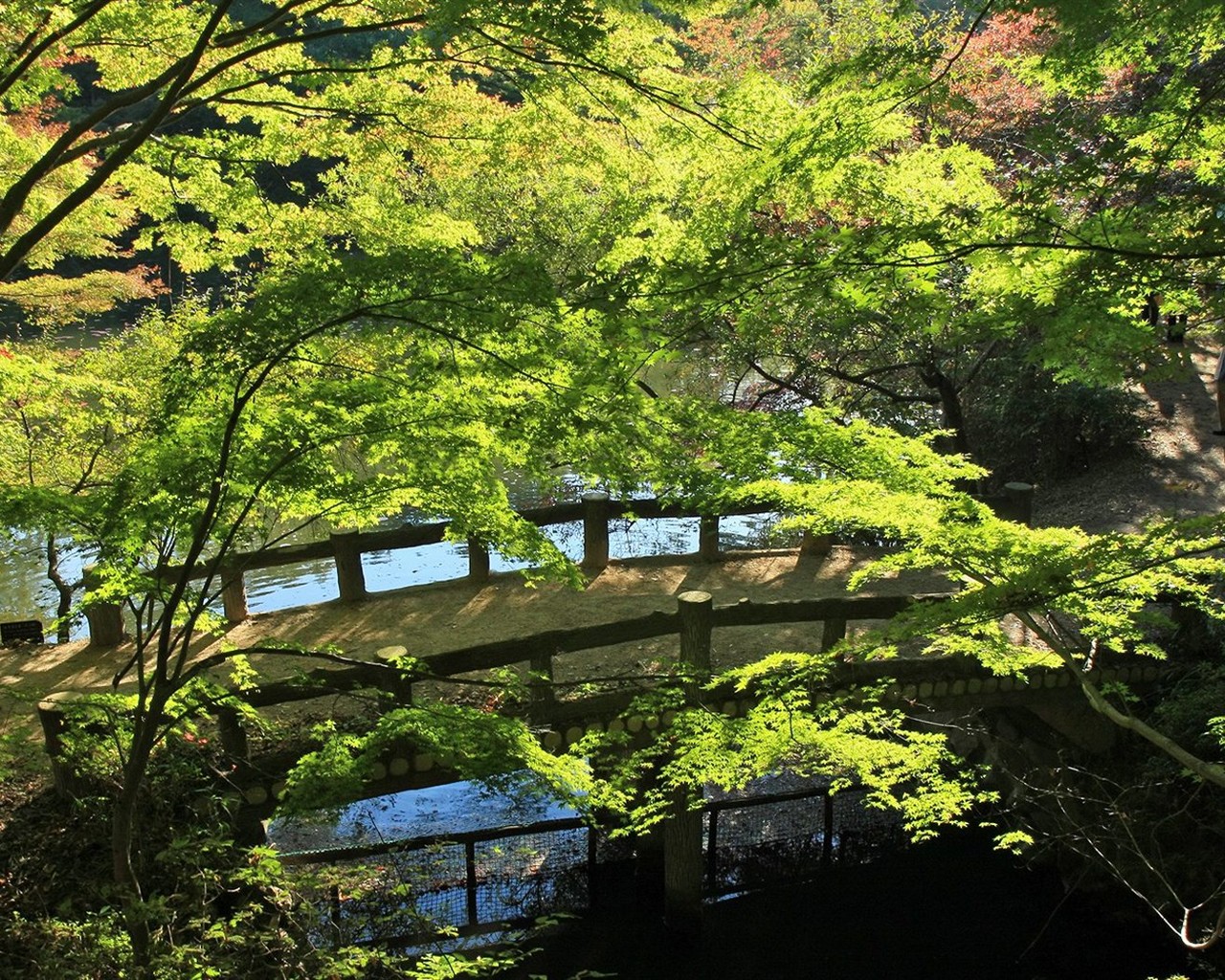 Japan Tour: Berg Rokko Blätter #27 - 1280x1024