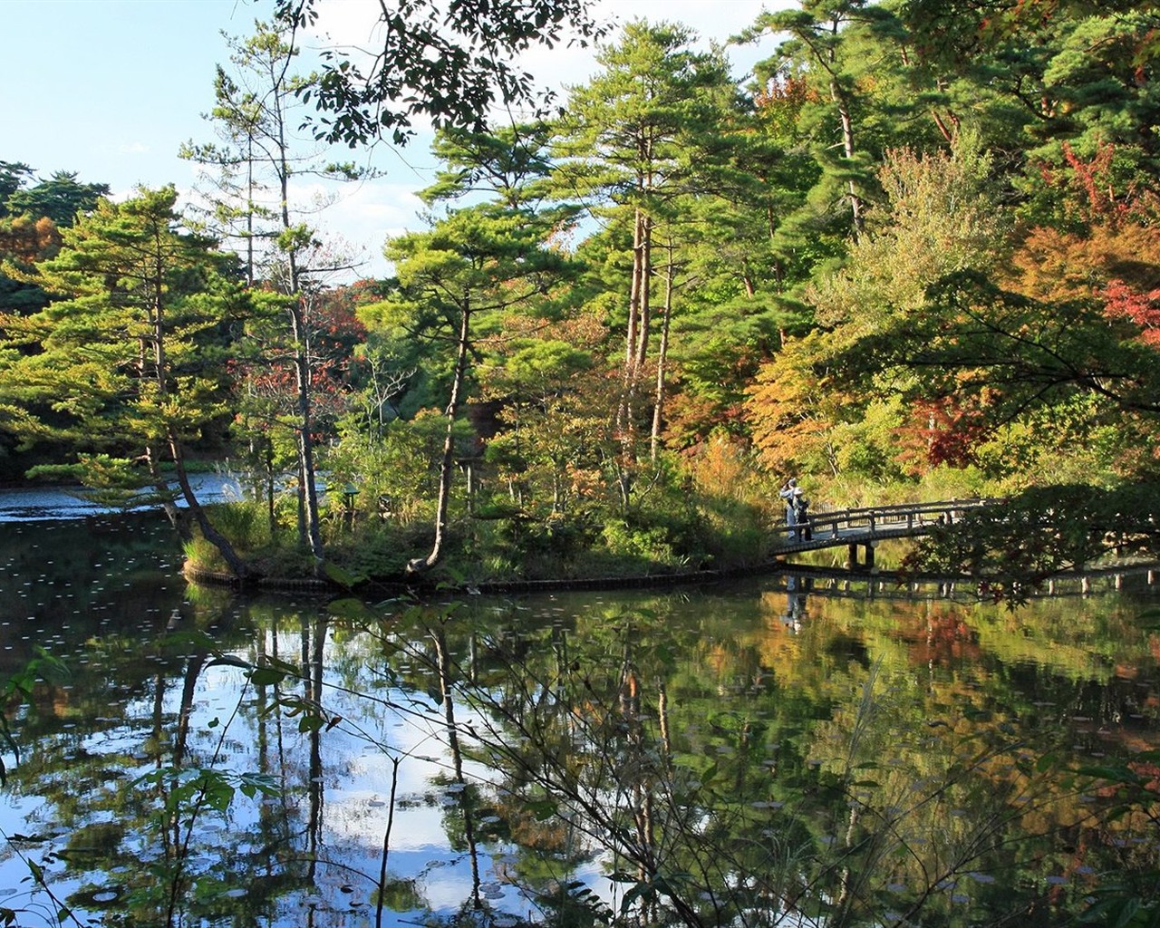 Japan Tour: Montañas Rokko hojas #28 - 1280x1024