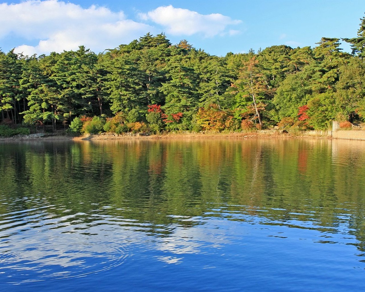 Japan Tour: Rokko Mountain leaves #30 - 1280x1024