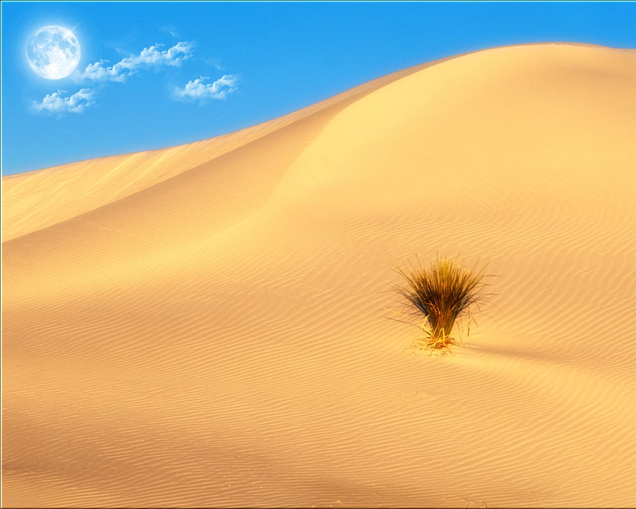 Creative HD Tapety na plochu #9 - 1280x1024