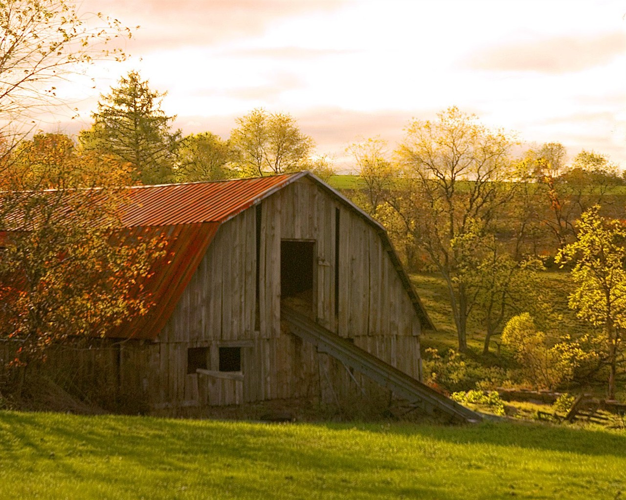 Fond d'écran épais décor de l'automne #1 - 1280x1024