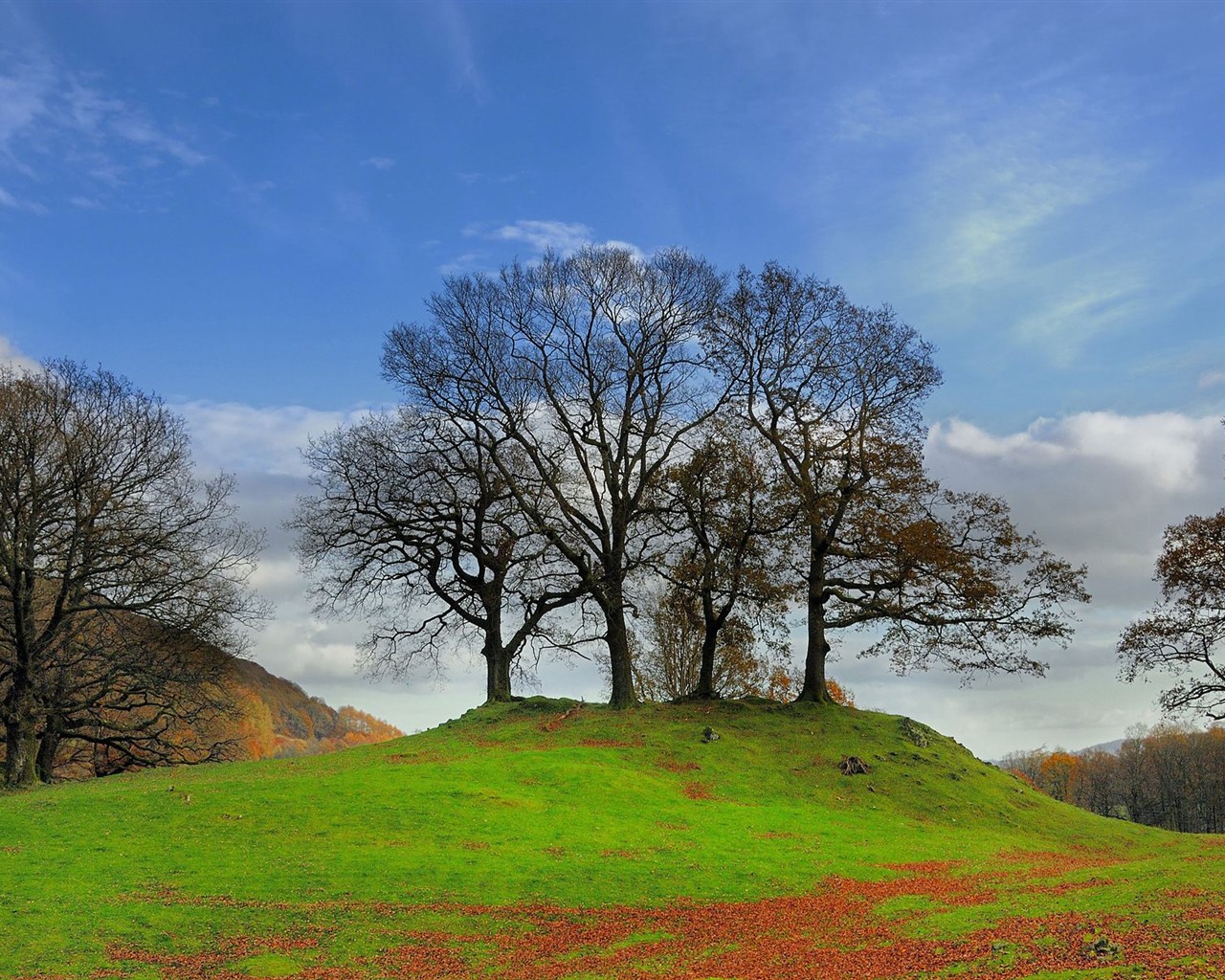 Dickes Herbstlandschaft Tapete #25 - 1280x1024