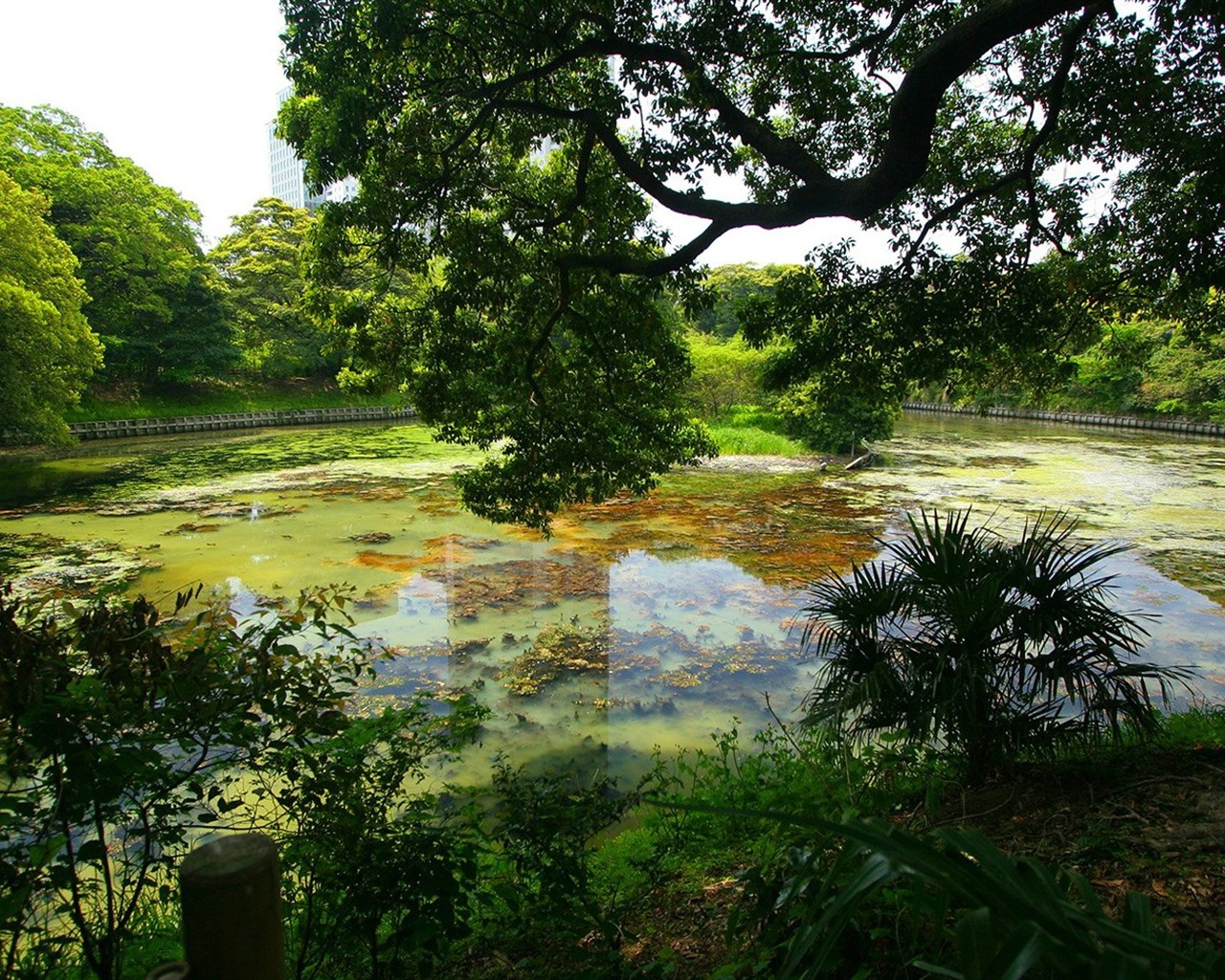 寧靜庭園 公園美景壁紙 #2 - 1280x1024