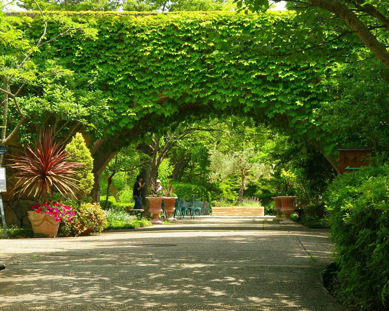 Parc beau fond d'écran #15 - 1280x1024