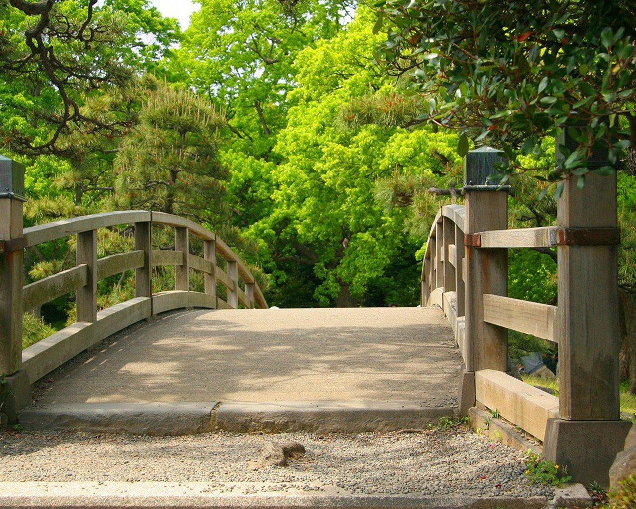 Parc beau fond d'écran #33 - 1280x1024