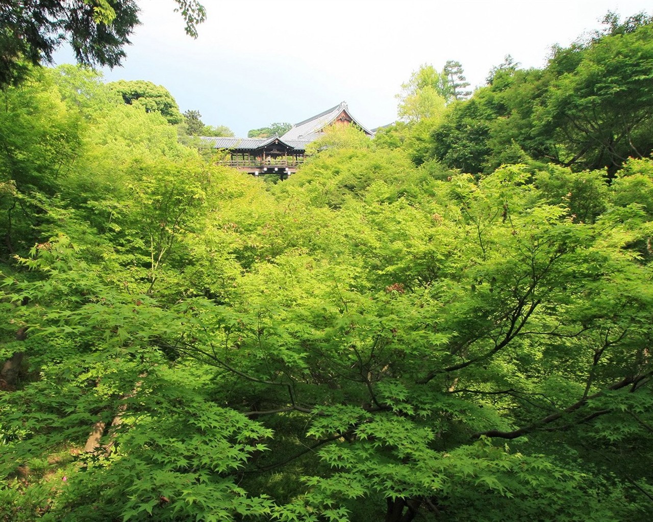 寧靜庭園 公園美景壁紙 #37 - 1280x1024