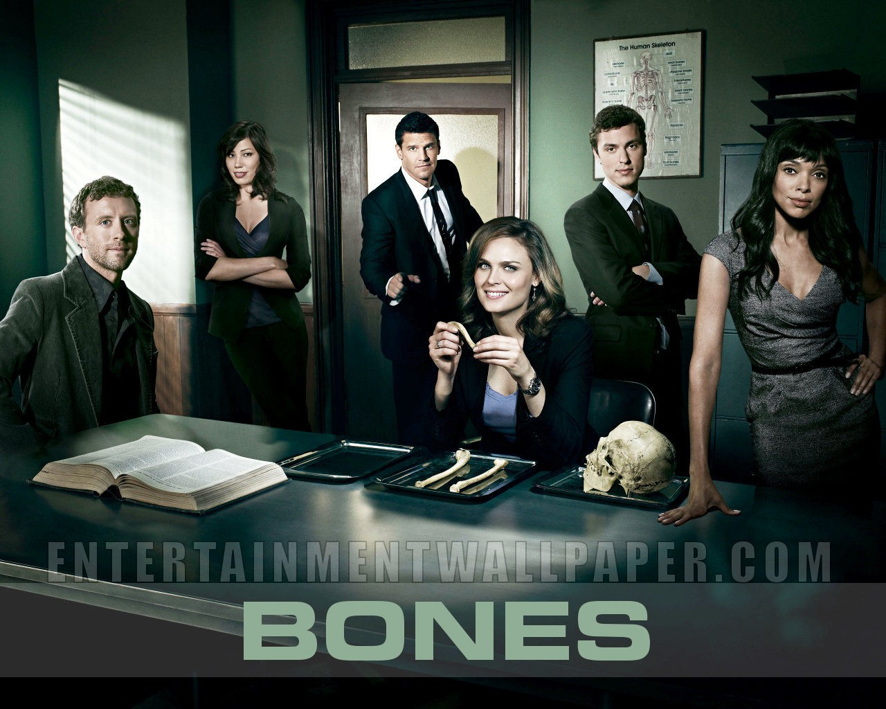 Bones wallpaper #3 - 1280x1024