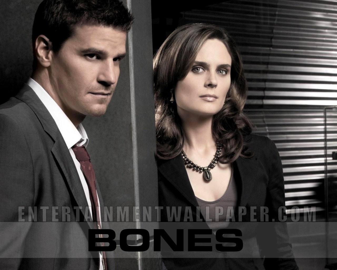 Bones wallpaper #10 - 1280x1024