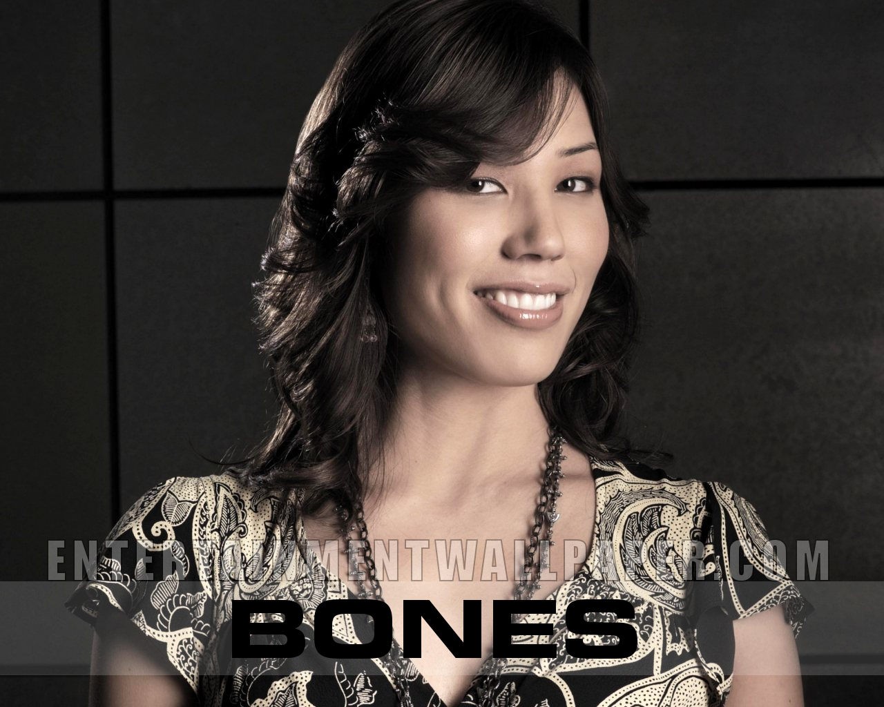 Bones wallpaper #15 - 1280x1024