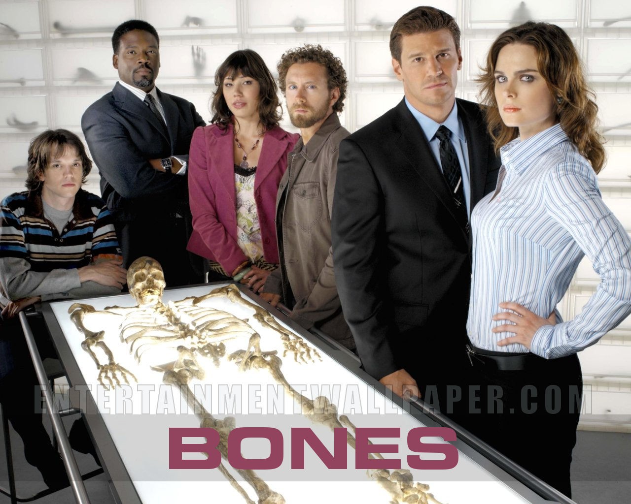 Bones wallpaper #19 - 1280x1024