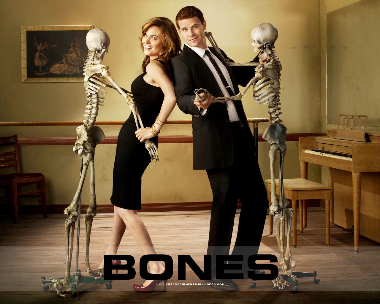 Bones wallpaper #26 - 1280x1024