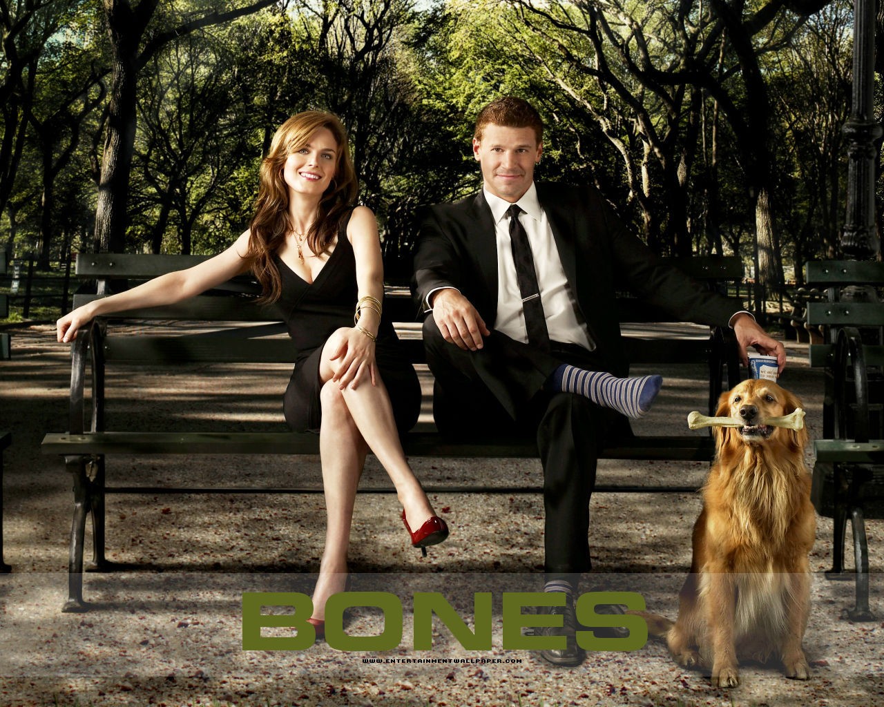 Bones wallpaper #27 - 1280x1024