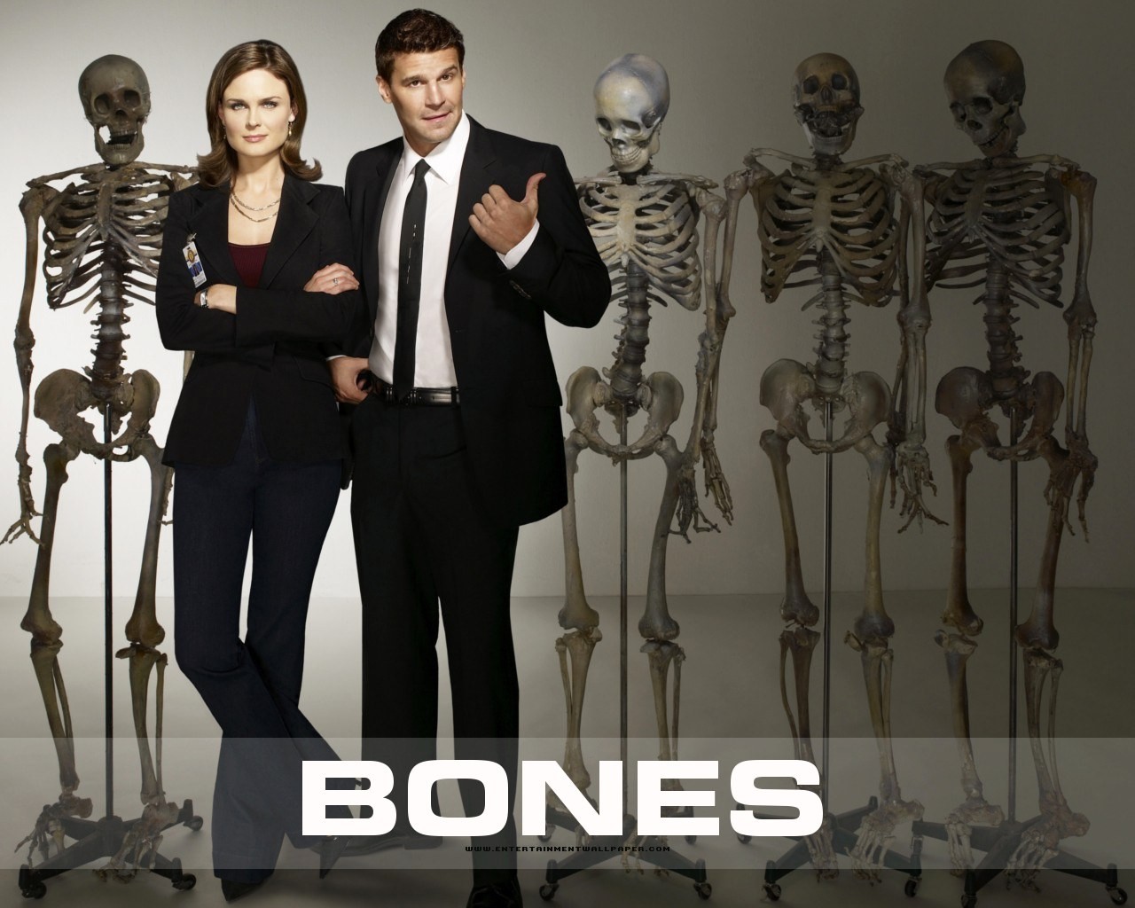 Bones wallpaper #32 - 1280x1024
