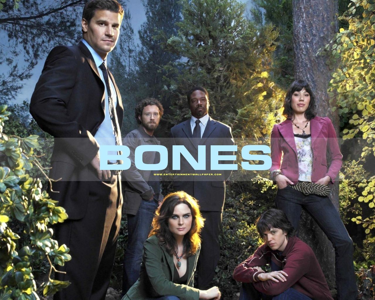 Bones wallpaper #34 - 1280x1024