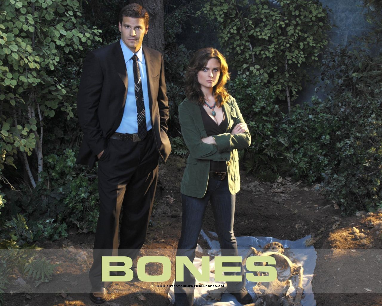 Bones wallpaper #35 - 1280x1024