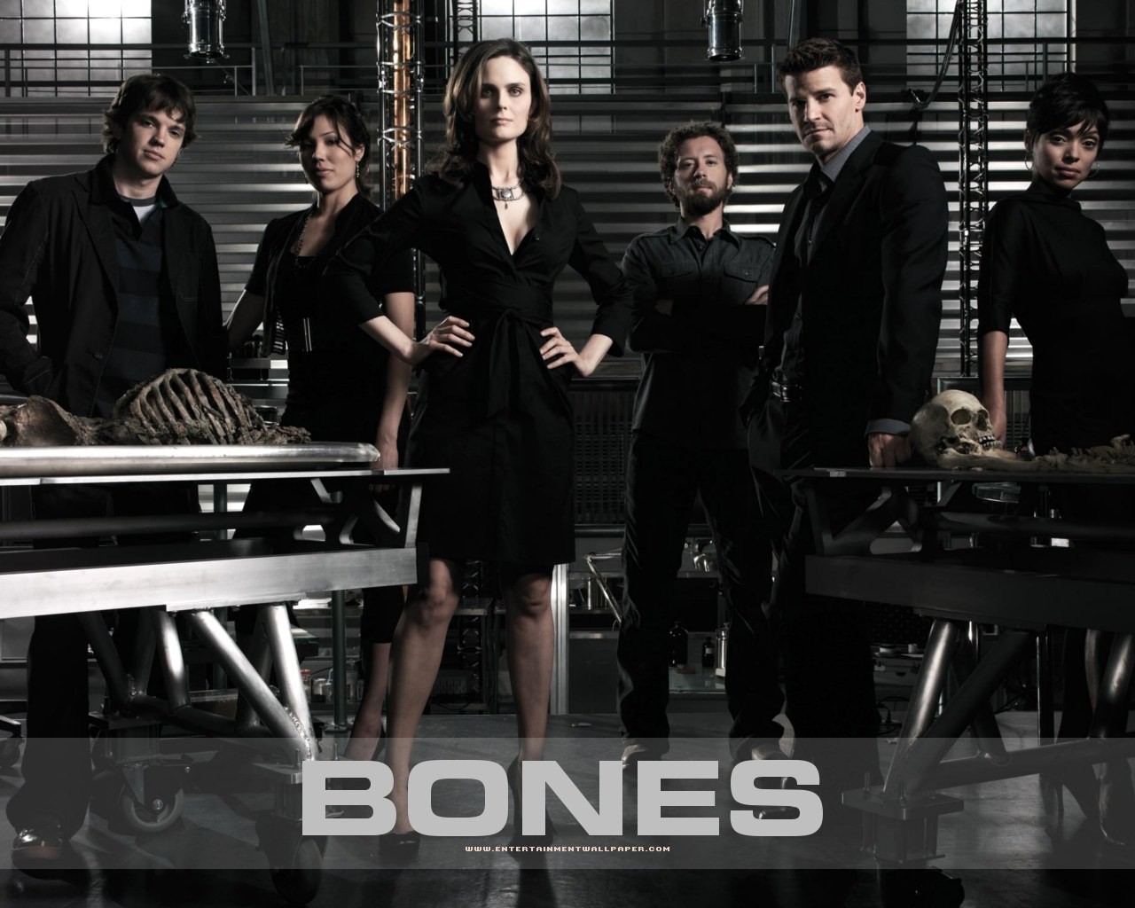 Bones wallpaper #36 - 1280x1024