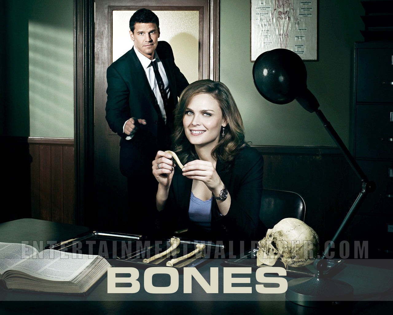 Bones wallpaper #38 - 1280x1024