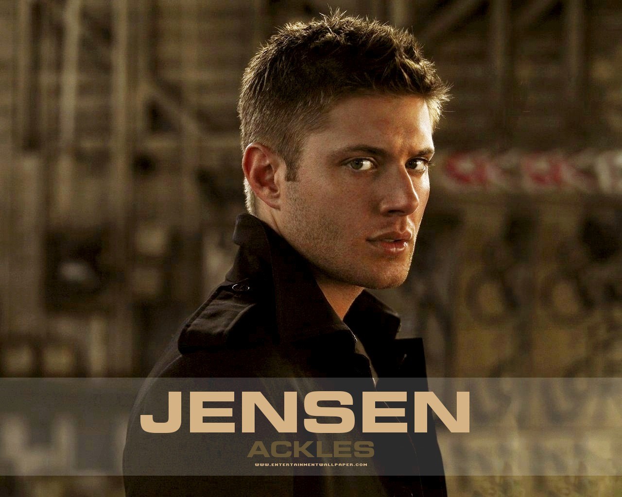 Jensen Ackles wallpaper #6 - 1280x1024